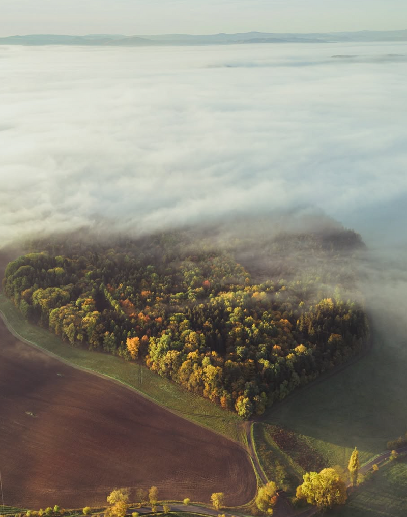 5. 100% Natur – Keine Nachbehandlung